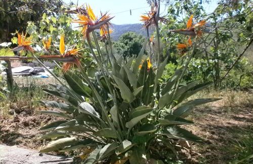 Pollina Apartamento | Casa Vacanze Campagna&mare