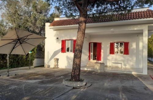 Galatina Apartamento | Casa Vacanze "Lo Vita" Appartamento "Sara"