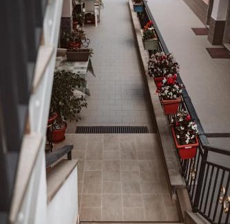 Palinuro Apartamento | Casa Vacanze Rosy "Nel Verde"