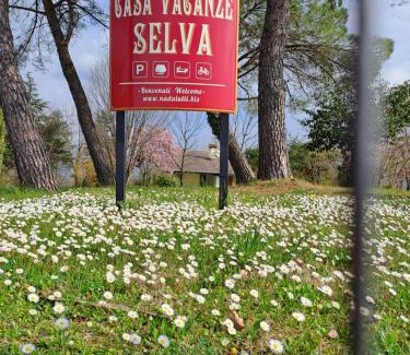 Premariacco Casa | Casa Vacanze Selva