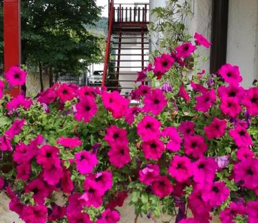 Pergine Valsugana Apartamento | Casa Valcanover