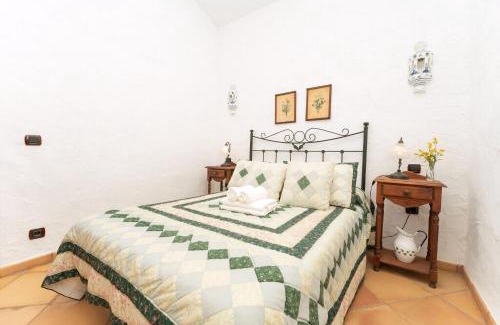 Yaco Casa | Casa Verde