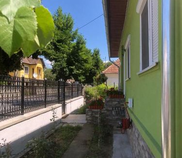 Vata de Jos Casa | Casa Verde