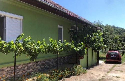 Vata de Jos Casa | Casa Verde