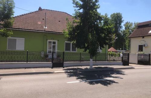 Vata de Jos Casa | Casa Verde