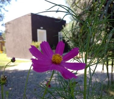 Carpintería Casa | Casa Villa Alba Carpinteria