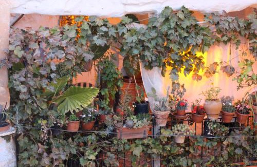 Atalbeitar Casa | Casa Violeta