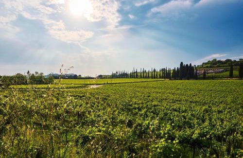 Sommacampagna Casa | Casa Vittoria-Relax tra Lago di Garda e Verona