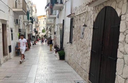 Vieste Apartamento | CASABELLA