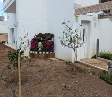 Felline Casa | Casabianca