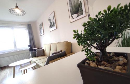 Rybnik Apartamento | *Casablanca Apartament* - 40m² ✓