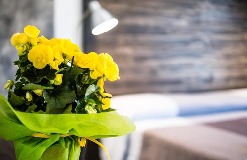 Santo Stefano di Camastra Cama Y Desayuno | Casadada Bed and Breakfast