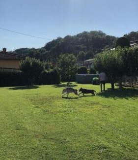 Masero Casa | CasaGiarelli