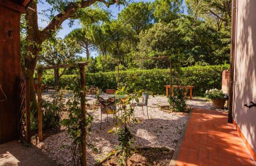 Casale Marittimo Apartamento | Casal Toscano