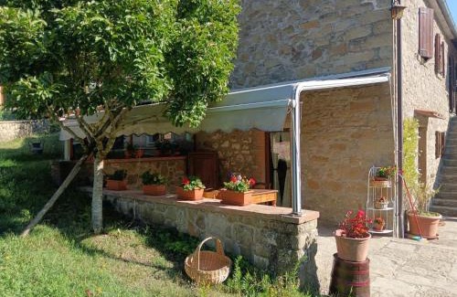 Quartiere XXIV Don Bosco Cama Y Desayuno | Casale Agrifoglio - Monterchi