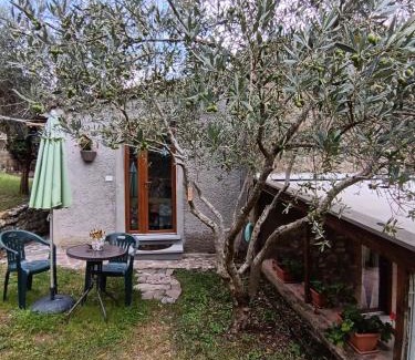 Quartiere XXIV Don Bosco Cama Y Desayuno | Casale Agrifoglio - Monterchi