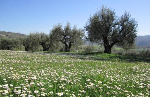 Collesanto Casa | Casale dei Dotti