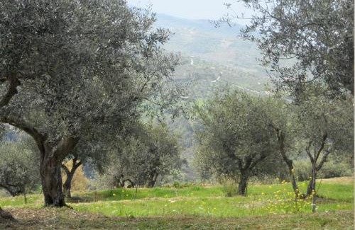 Laureana Cilento Casa | Casale Il Gheppio