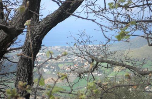 Laureana Cilento Casa | Casale Il Gheppio