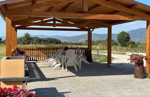 Monsigliolo Casa | Casale Il Terranova