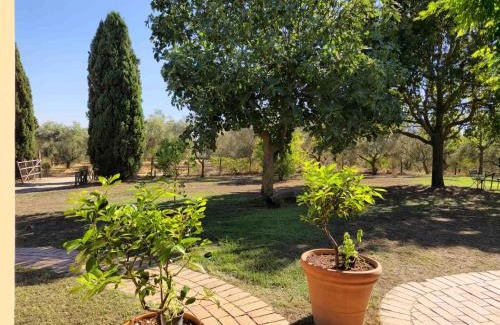 Viterbo Villa | Casale Le Pietre