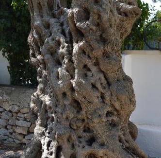 Grumo Appula Casa | Casale Lupis