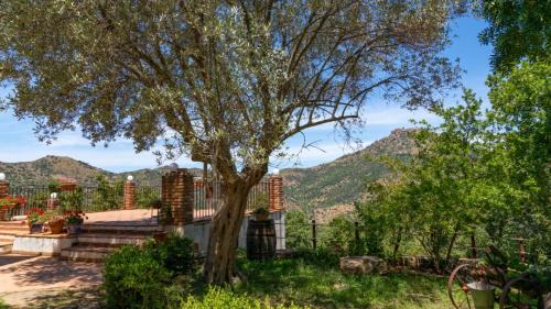 Pollina Casa | Casale Margherita Turismo Rurale