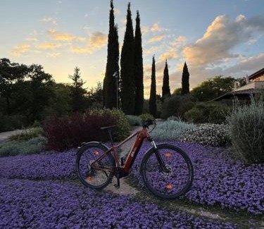 Saturnia Cama Y Desayuno | Casale Terre Rosse Garden