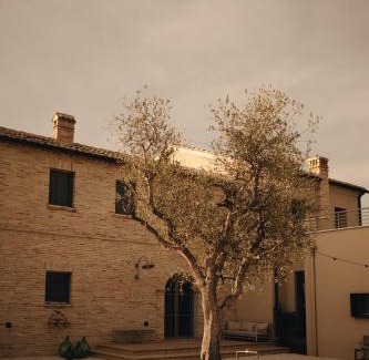 Cingoli Cama Y Desayuno | Casale Tre Gelsi