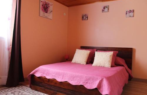 Cilaos Casa | CASAMELIAS "Le ficus"