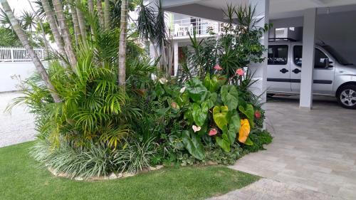 Cachoeira do Bom Jesus Casa | Casas Adilio Florianopolis-norte