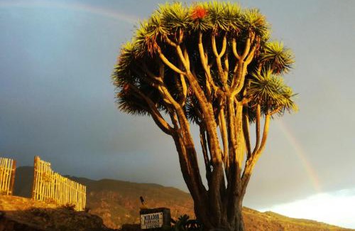 El Tablado Casa | Casas las Gemelas VIEWPOINT!