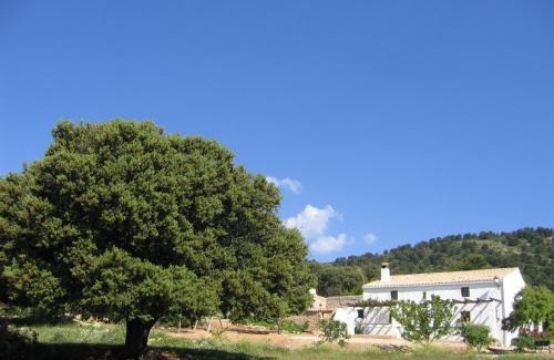 Campocamara Casa | Casas Rurales Cortijo Cerro Fuentes Nuevas