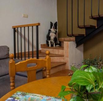 Alcalá del Júcar Apartamento | Casas Rurales Olmeda