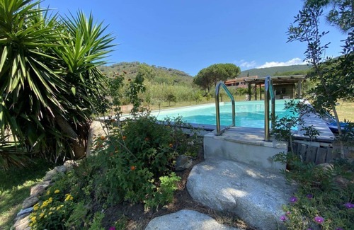Bonalaccia-Filetto Apartamento | APARTAMENTO DE DOS HABITACIONES CON PISCINA EN UNA ZONA TRANQUILA CÓMODA EN LAS PLAYAS -ZWEIZIMMERWOHNUNG