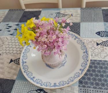 Le Forna Apartamento | Casatalento2