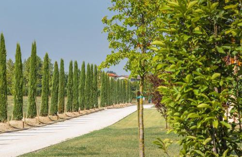 San Benedetto di Lugana Casa | Cascina Borghetta