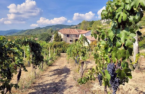 Cessole Casa | Cascina Marenco Langhe Country House Moscato
