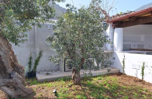 Malfa Casa | Case a Malfa - Alba & Rosina, Isola Salina
