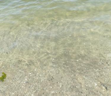 Lido di Pomposa Apartamento | Case al mare lido degli scacchi