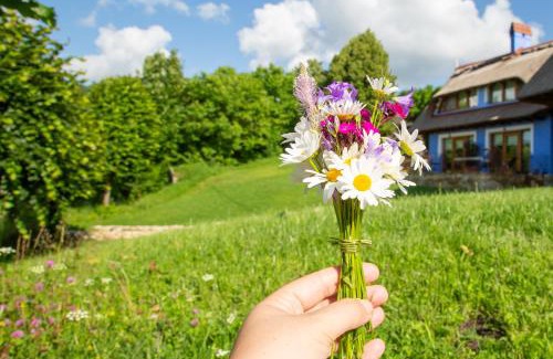 Ciurila Apartamento | Casele cu Stuf B&B Haus Ulrike