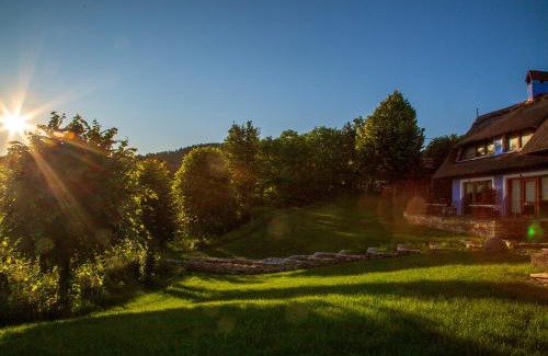 Ciurila Apartamento | Casele cu Stuf B&B Haus Ulrike