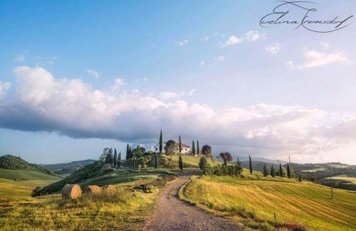 Gallina Casa | casella tarugi