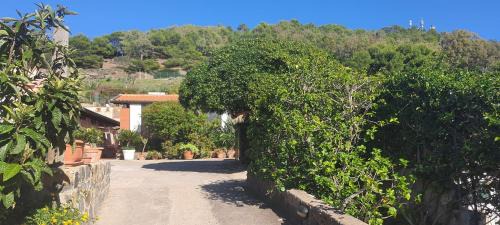Ustica Apartamento | Caserta Holiday Rent