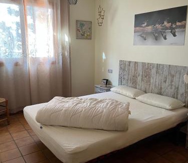 Escalo Apartamento | Cases Roses