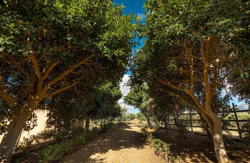 Campofelice di Roccella Apartamento | Casette di Calzata