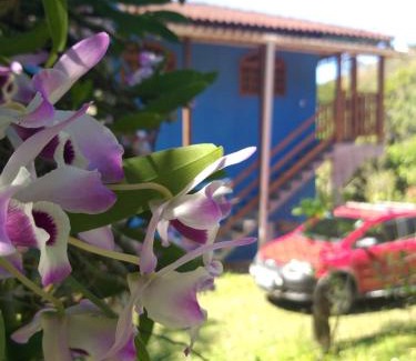 Corrego do Ouro Casa | Casinha Alto Alegre Andorinhas - Sana