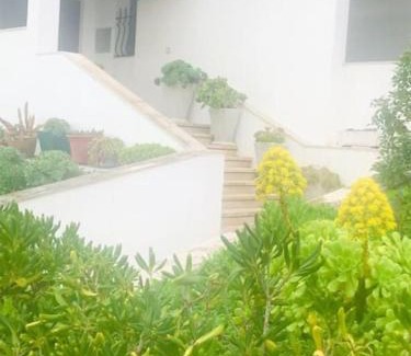 Sao Pedro de Muel Apartamento | Casinha do mar