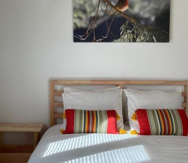 Rubiaes Chalet De Esquí | Casinha Rubiães