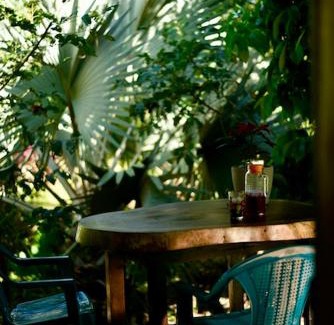Cabuya Casa | Casita Colibri